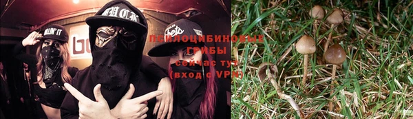 каннабис Баксан